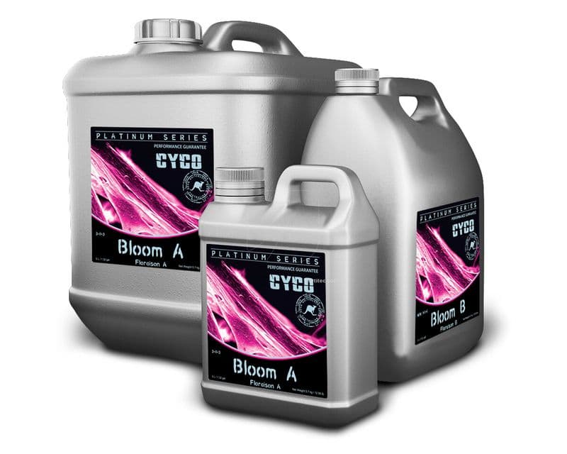 Cyco Bloom A