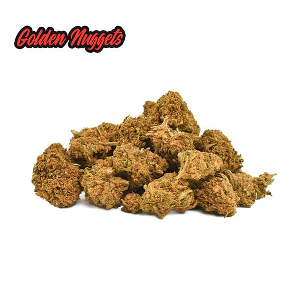 Cañamo Cbd Mini Buds Golden Nuggets 10 gr. Only Cbd
