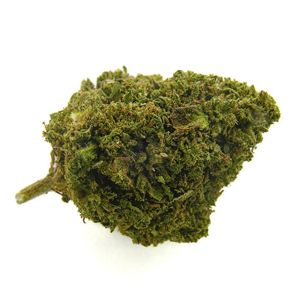 CBD Bee Cheese Poison