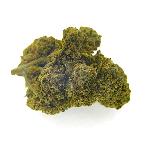 CBD Bee Critical