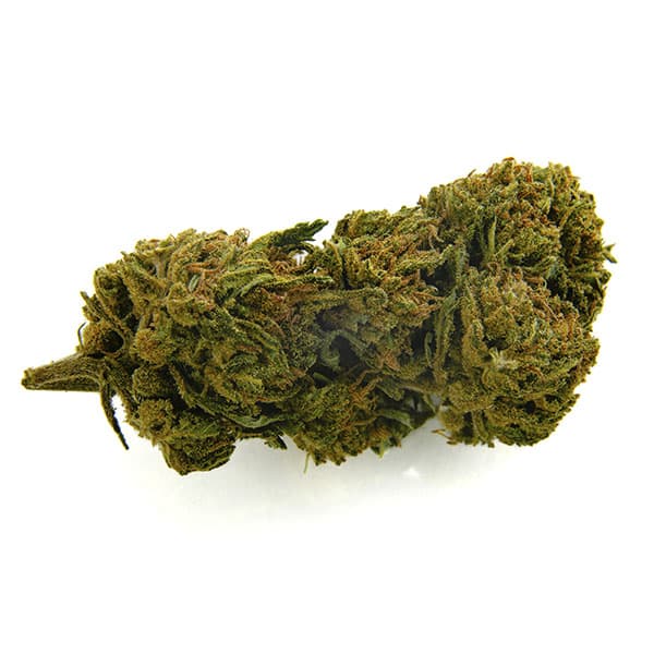 CBD Bee Gelato