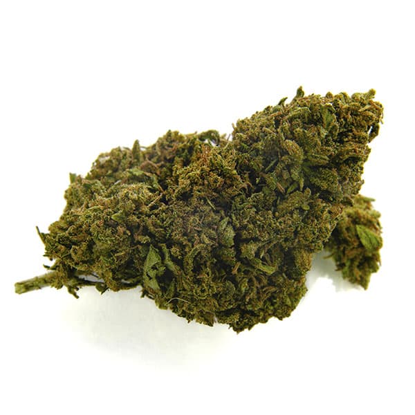 CBD Bee Lemon Haze