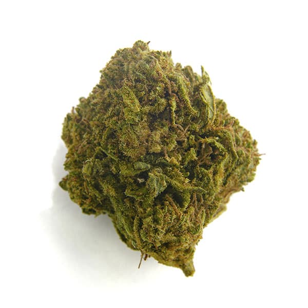 CBD Bee Bubble Gum