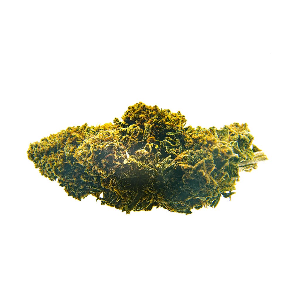 CBD Bee Amnesia