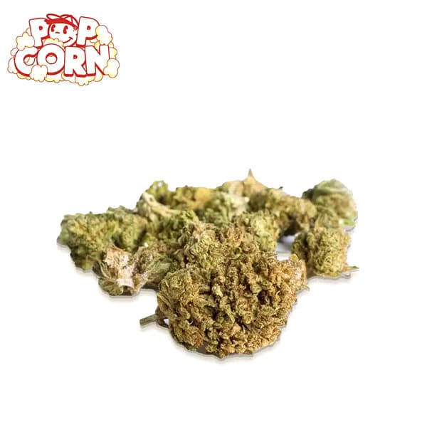 Cañamo Cbd Xuxes Pop Corn Sweet Mandarin Poppy 5 gr.