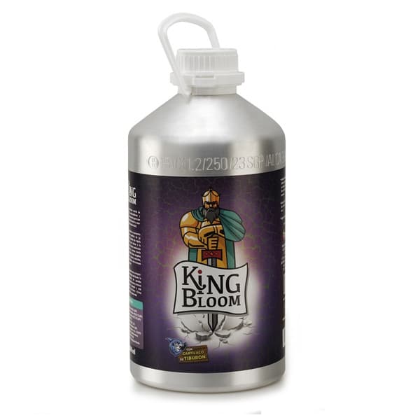 King Bloom 5.5 Lt Trabe