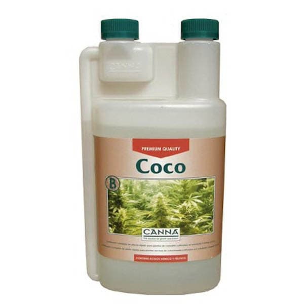 Coco B