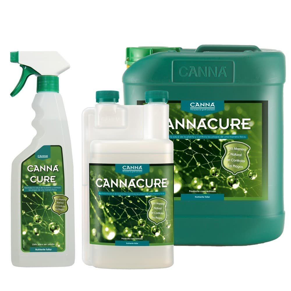Cannacure