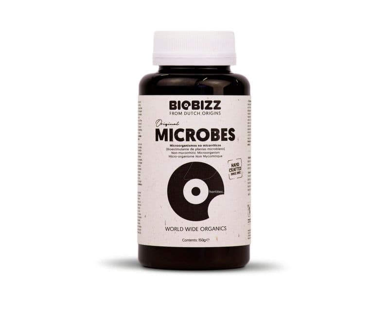 Microbes