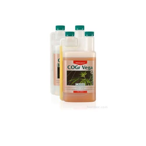 Cogr Vega A