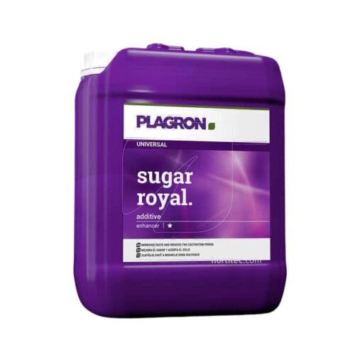 Sugar royal