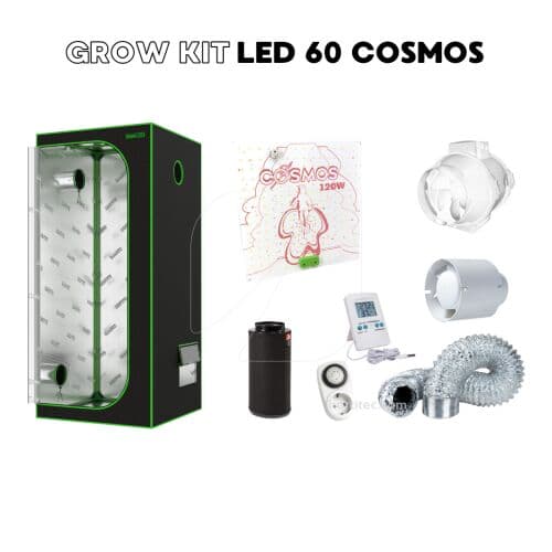 Grow Kit LED 60 Cosmos