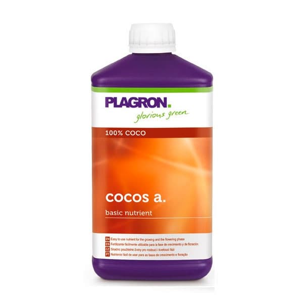 Coco A