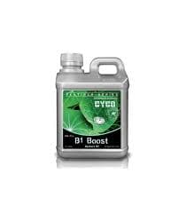 B1 Boost