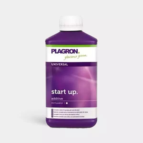 Start Up