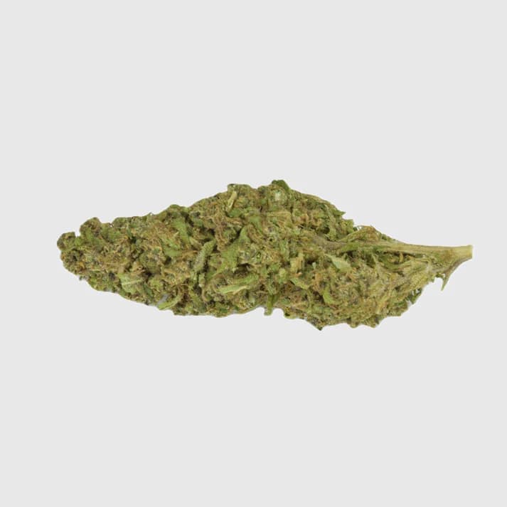 Cbd Goodies Gelato