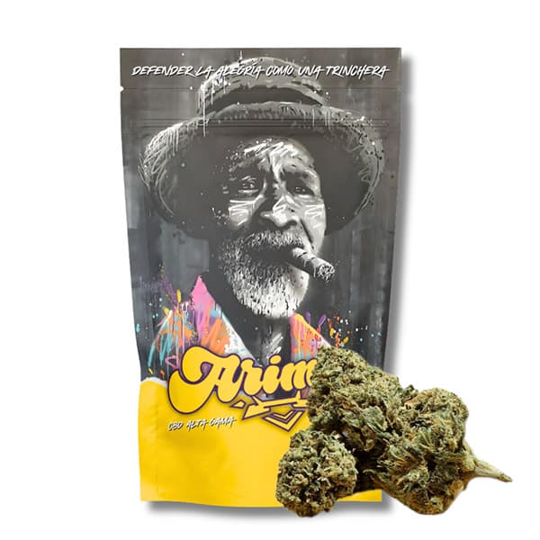 CBD Arima Kritical