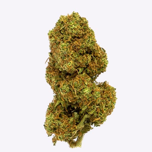 Cañamo Cbd Gorilla Grillz Outdoor Orange Cookies 5 gr.