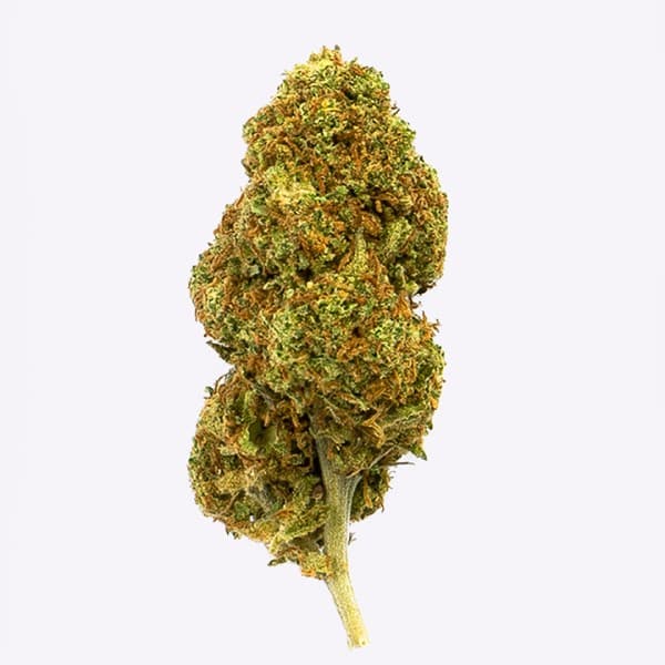 Cañamo Cbd Gorilla Grillz Outdoor - 25 gr.