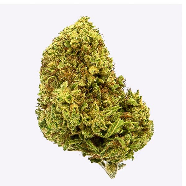 Cañamo Cbd Gorilla Grillz Outdoor - 25 gr.