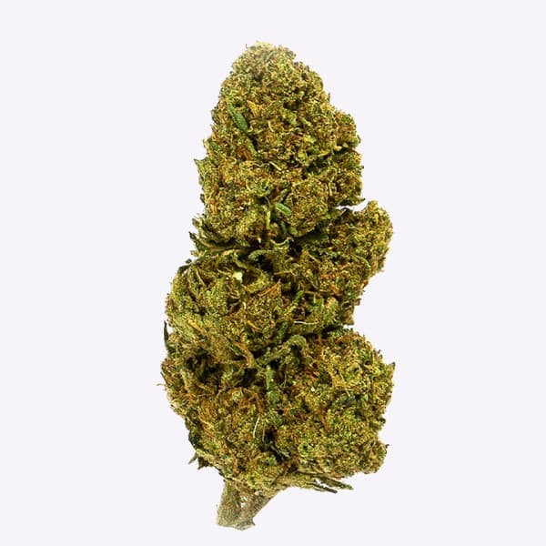 Cañamo Cbd Gorilla Grillz Outdoor Lemon Haze 5 gr.