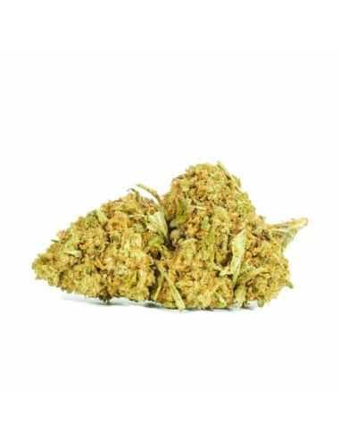 Cañamo Cbd Only Cbd Zkittlez