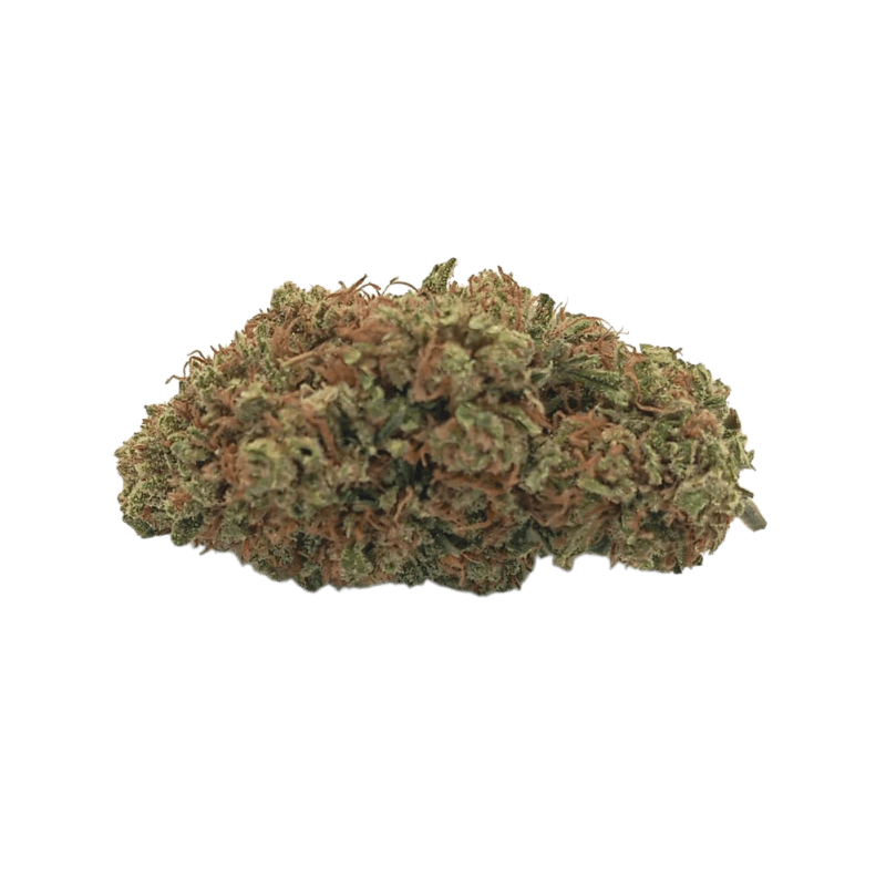 Cañamo Cbdsroll Indoor Amnesia OG