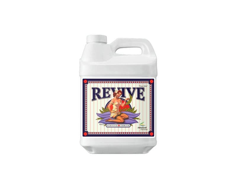Revive