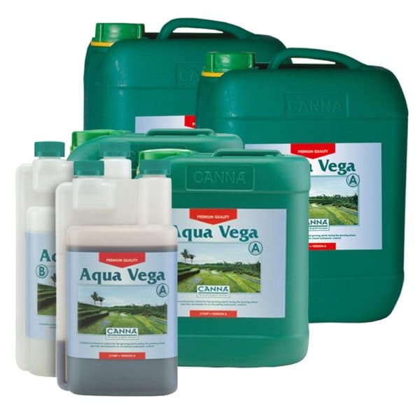 Aqua flores B