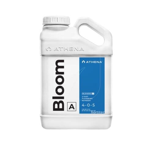 Bloom A 0.94 l