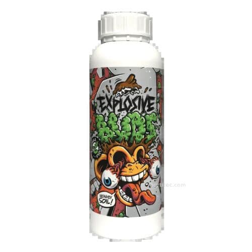 Explosive Buds