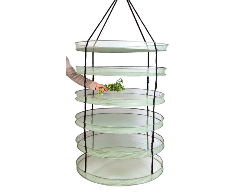 Secador Dark Box Dryer