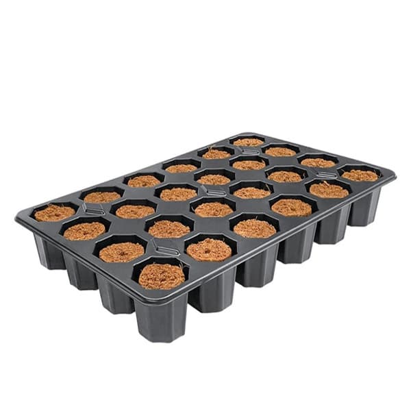 Bandeja Plugin Rootit 19x29 cm 24 Alveolos.