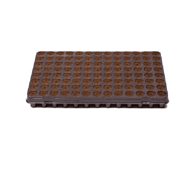 Caja de bandejas Woodfiber 104 Alveolos (6 Bandejas) Coco