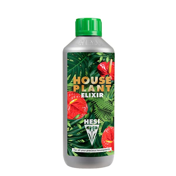 House Plant Elixir