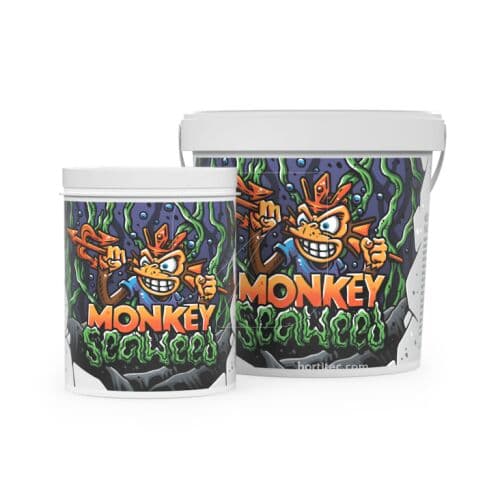 Monkey Seaweed