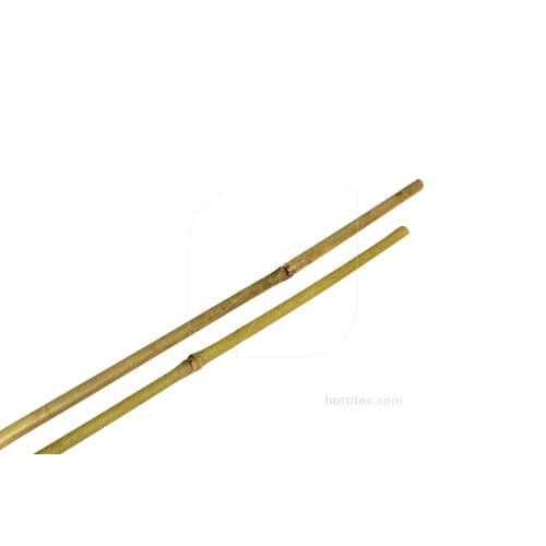 Tutor bambu 120 cm 10/12 MM