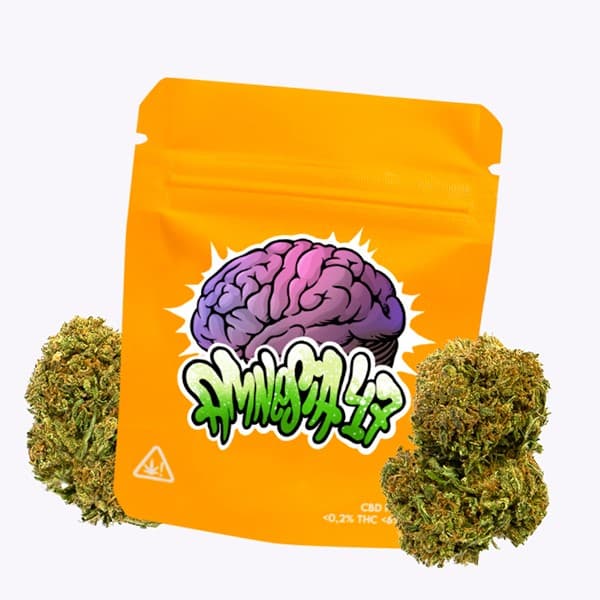 Cañamo Cbd Gorilla Grillz Outdoor Amnesia 47 - 5 gr.