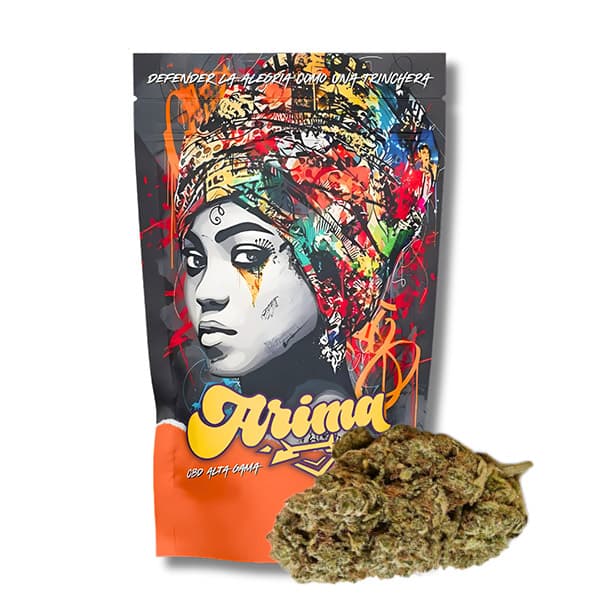 CBD Arima Indoor Norther Lights