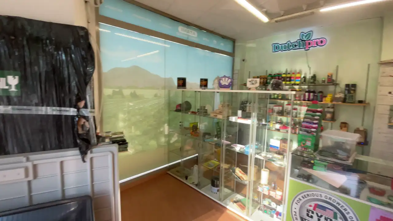 Interior de la tienda Lets Grow en Terrassa