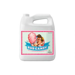 Bud Candy