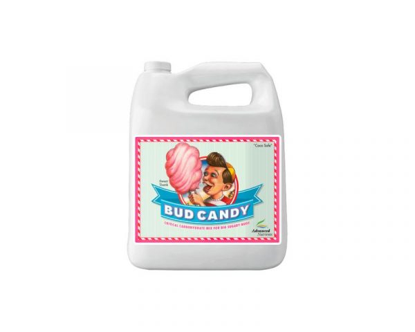 Bud Candy