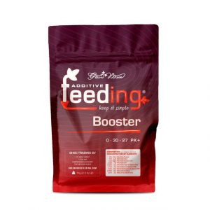 Booster