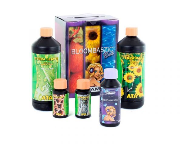 ATA/Terra Bloombastic Box
