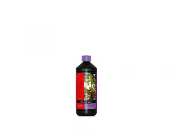B'Cuzz Booster Coco Universal