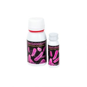 Bactobloom