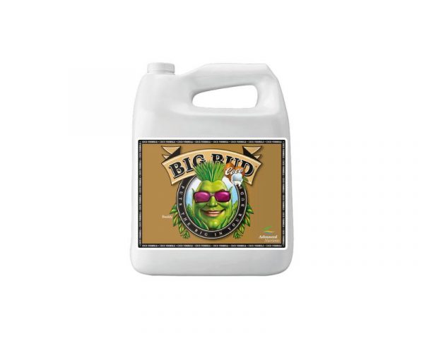 Big Bud Coco Liquid - Imagen 3