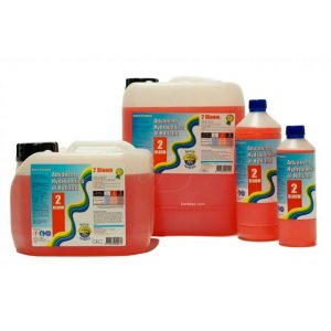 Dutch Formula Bloom 2