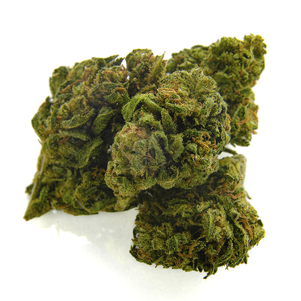 CBD Bee Monkey Kush 3 gr. - Imagen 2