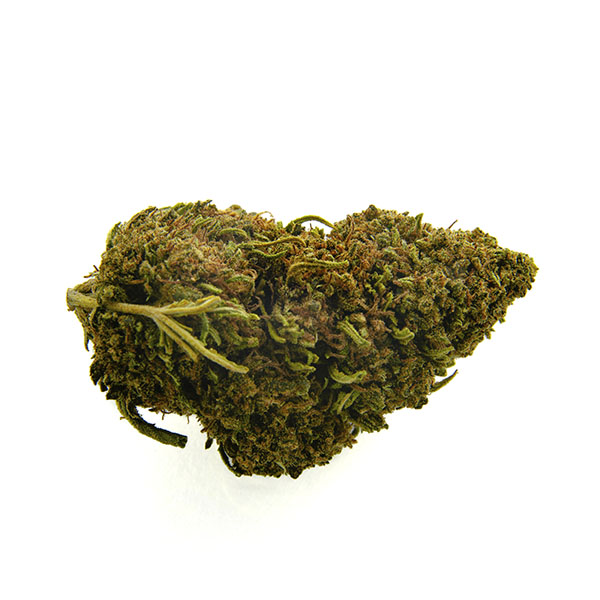 CBD Bee Blackjack 3 gr. - Imagen 2